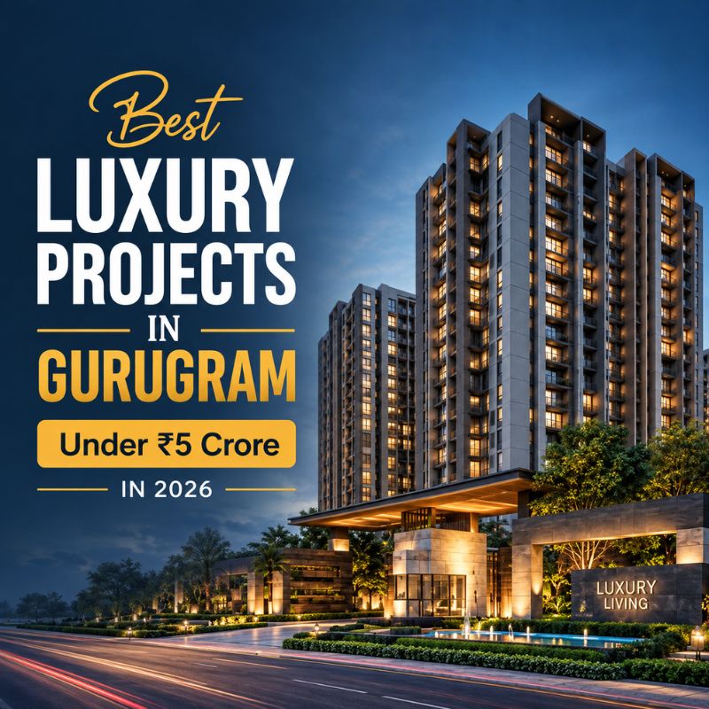 Asset Realty Hub